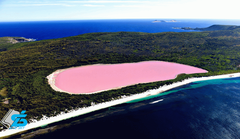 دریاچه‌ی صورتی رنگ در استرالیا