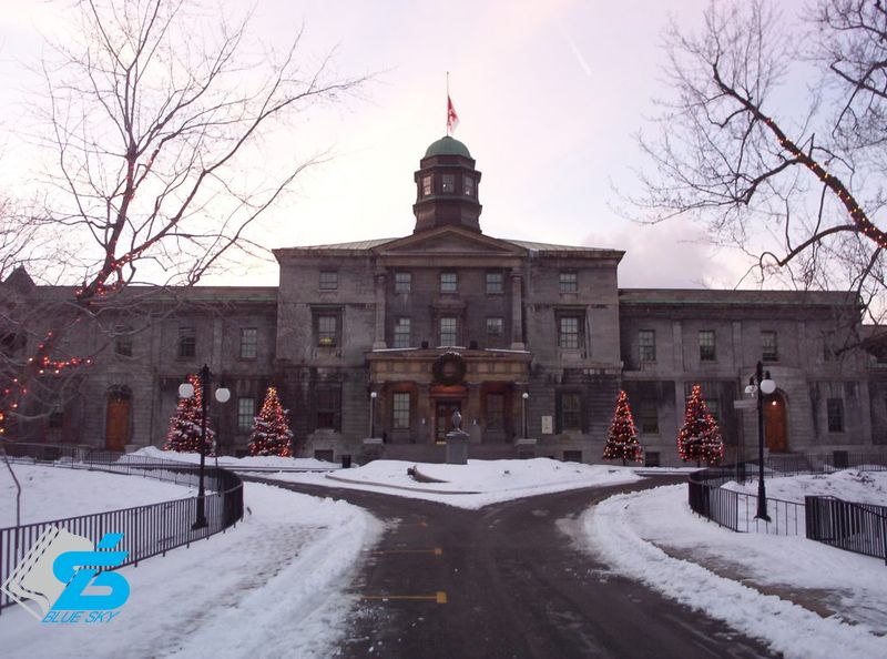 McGill University