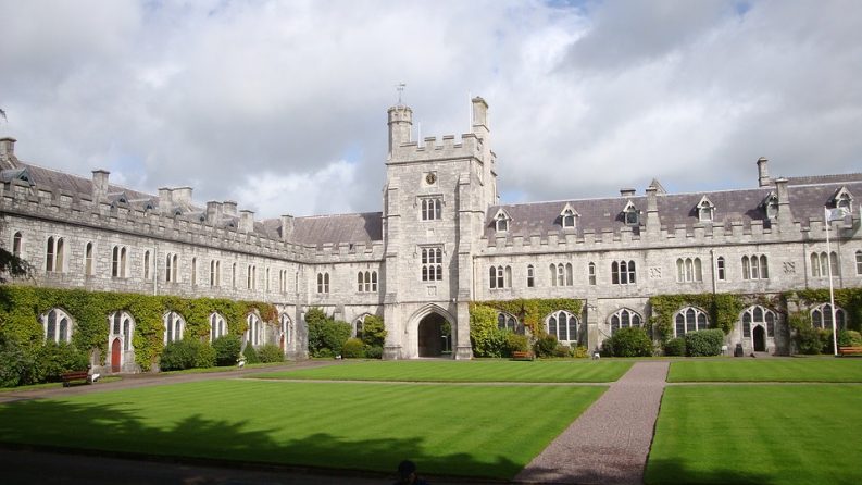 دانشگاه‌های ایرلند