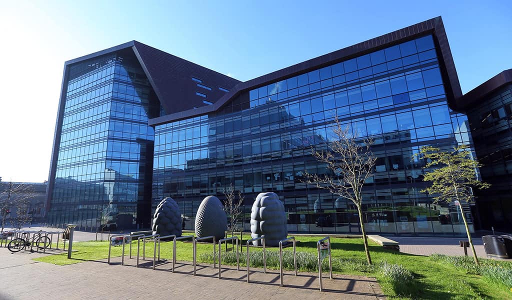 University of Plymouth International