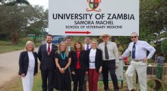 دانشگاه‌های زامبیا